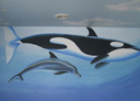 Wall Art by Allyson, Whale and Dolphin Mural, oceanic mural,whale mural,hand painted mural,dolphin mural,wall art,mural,